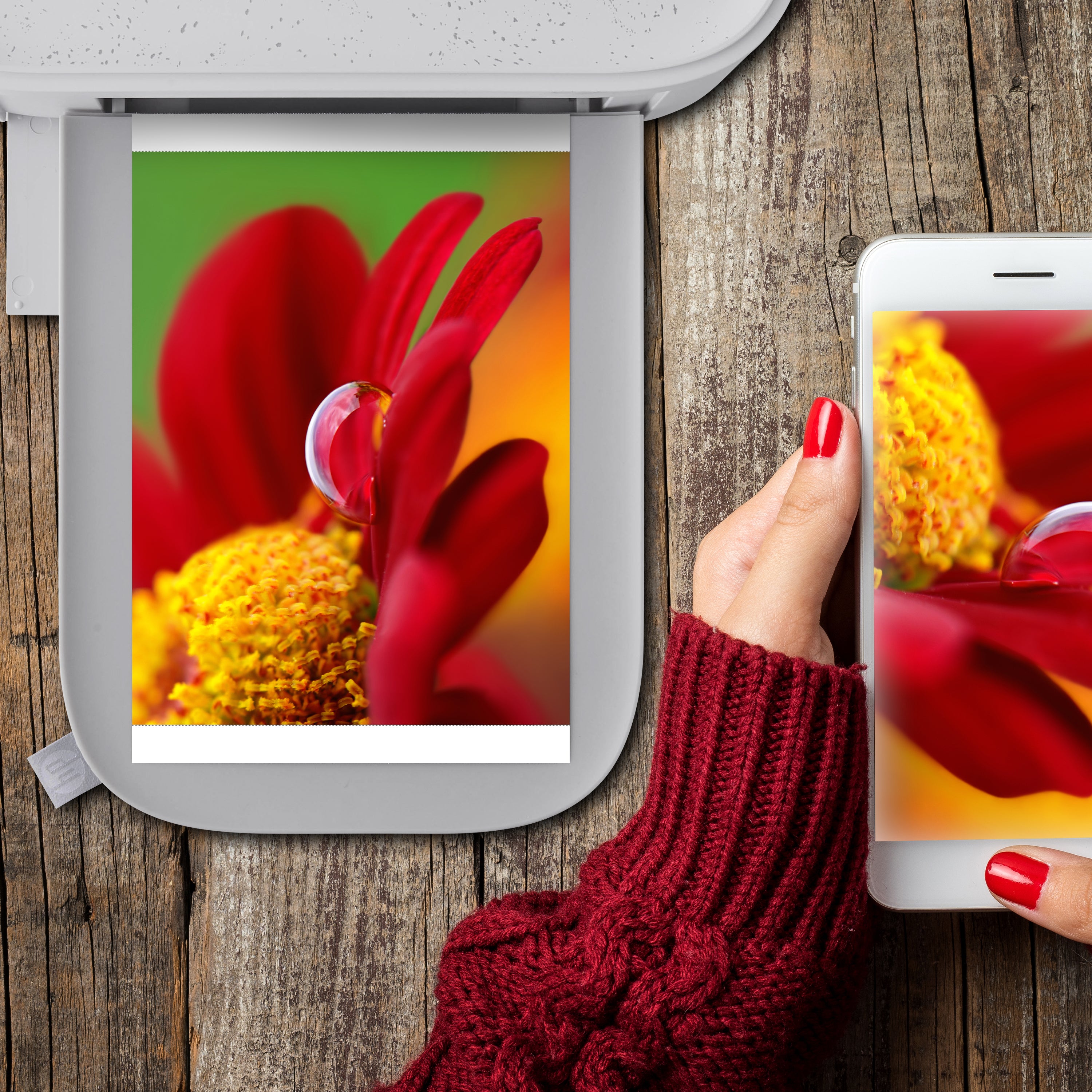 HP Sprocket Studio Plus 4 x 6” Photo Paper and Cartridges (Includes 324 Sheets and 6 Cartridges)